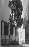 photo22