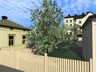 ren12