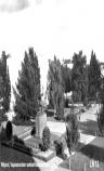 photo27