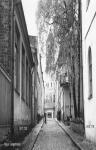 photo10