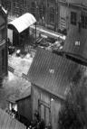 photo41